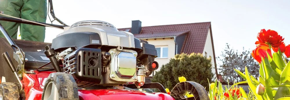 Benzinrasenmäher im Garten